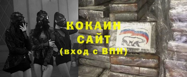 хмурый Ельня