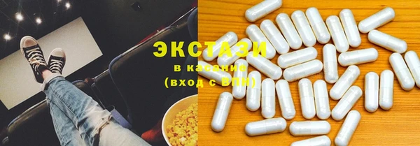 хмурый Ельня