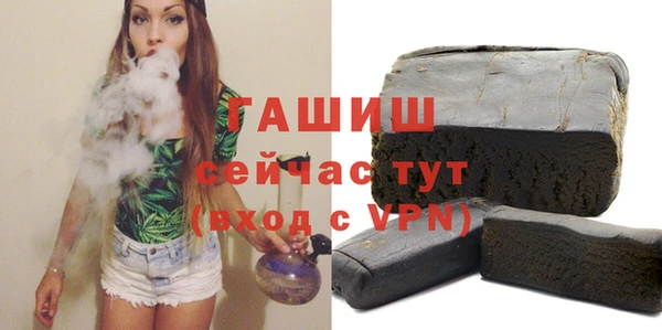 хмурый Ельня