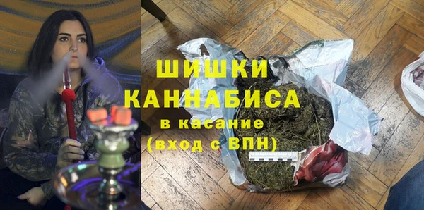 СК Елизово