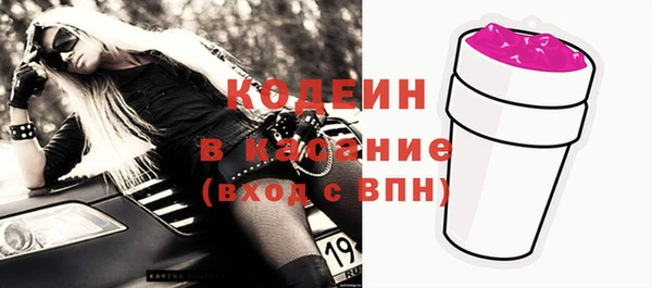 хмурый Ельня