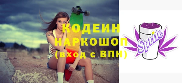 хмурый Ельня