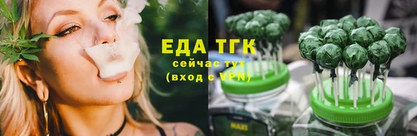 хмурый Ельня