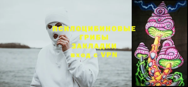 марки lsd Елабуга