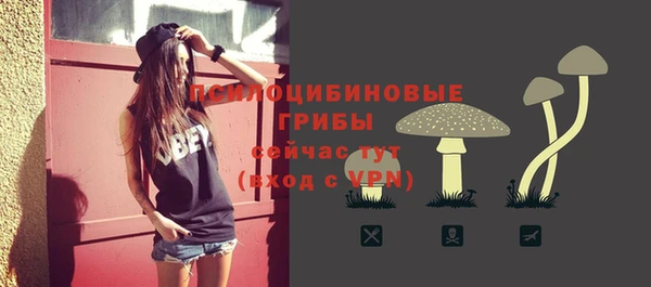 СК Елизово