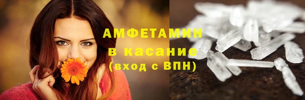 СК Елизово