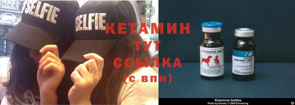 хмурый Ельня