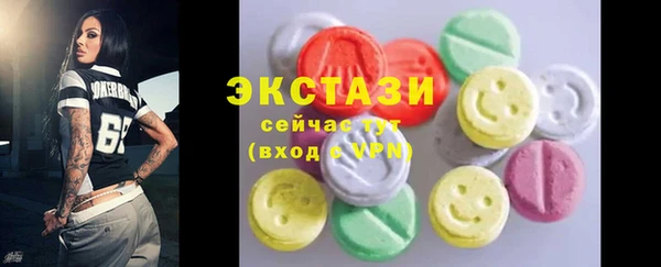 хмурый Ельня