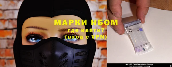 СК Елизово