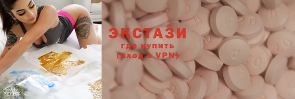 хмурый Ельня
