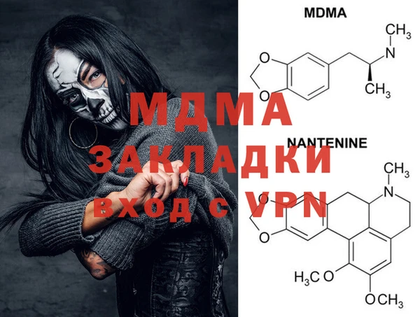 хмурый Ельня