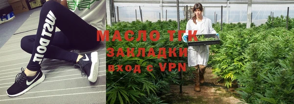 хмурый Ельня