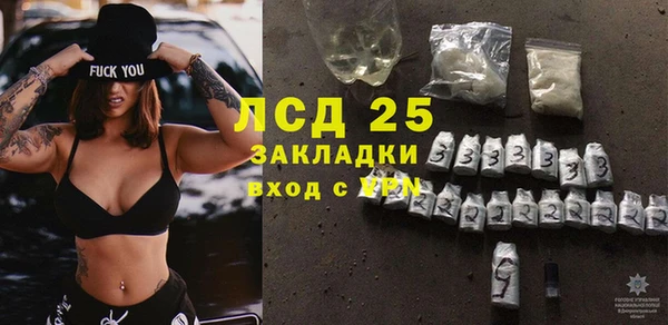 хмурый Ельня