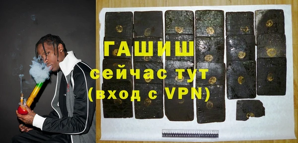 хмурый Ельня