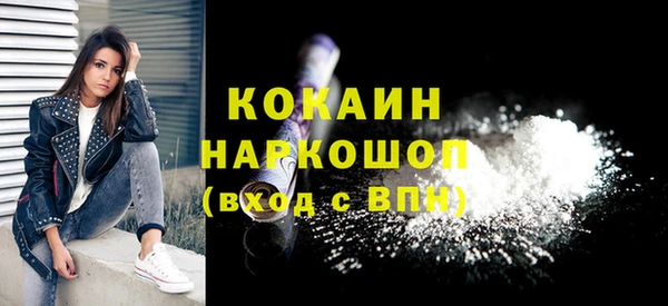 хмурый Ельня
